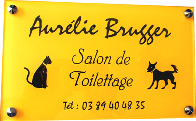 Plaque professionnelle jaune gravure noire