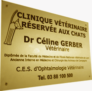 Plaque aluminium anodis&eacute; or