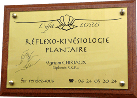 Plaque professionnelle laiton  poli mirroir