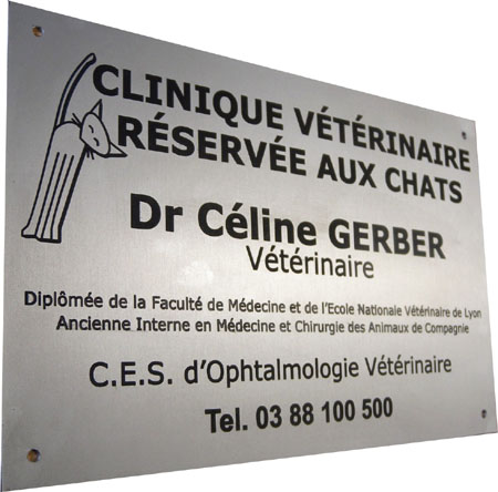 Plaque professionnelle aluminium anodis&eacute; aspect acier bross&eacute;